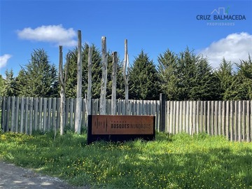 Parcela en venta en condominio Bosques inundados, Puerto Varas