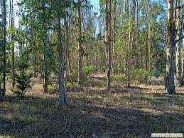 Terreno en venta en Parcela con agua, luz, Algarrobo, Casa Blanca (74772), Algarrobo