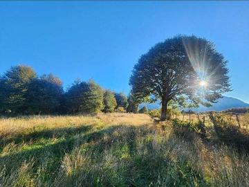 Terreno en venta en Aysén (63521), Aysén