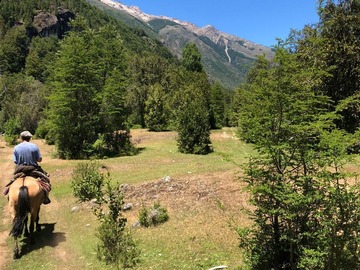 Venta / Sitio / Cochamó