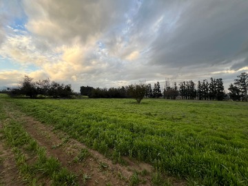Parcela en venta en Terreno en Sector Chicauma de la Comuna de Lampa.