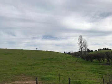 Terreno en venta en Se vende campo 100 has (60475), Ninhue