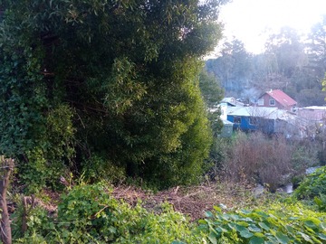 Sitio en venta en Conde de Castellar Niebla, Valdivia