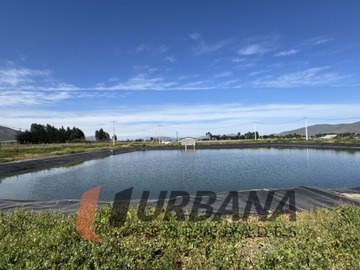 Parcela en venta en Parcelas en venta sector pan de azucar, coquimbo, Coquimbo