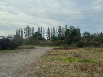 Venta / Terreno / Quillón