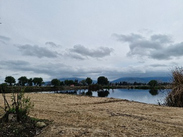 Parcela en venta en Venta de Parcelas en Maria Pinto Bollenar Desde 60 Millones