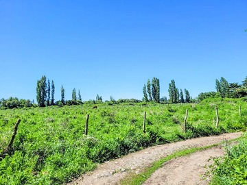 Terreno Agricola en venta en Ideal para Inversión, Gran Conectividad (159447), Los Ángeles