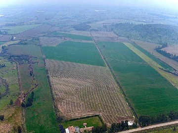 Terreno Agricola en venta en San Clemente 33 hectáreas suelo cultivable (170595), San Clemente
