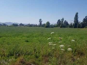 Parcela en venta en Encanto de Loreto - Camino El Pilón, Calera de Tango
