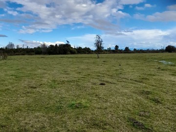 Terreno Agricola en venta en Sector ponhuipa comuna de río bueno, Río Bueno
