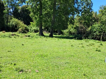 Terreno Agricola en venta en Futrono, Futrono