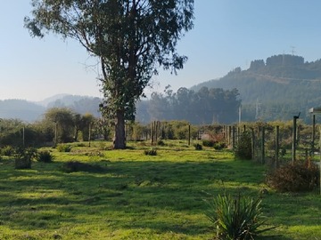 Venta / Parcela / Colbún