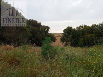 Terreno en venta en Carretera F218, Quintero