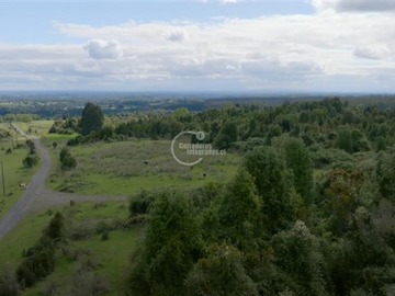 Venta / Parcela / Puyehue