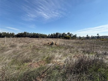 Parcela en venta en Sector Queseria, Pelarco
