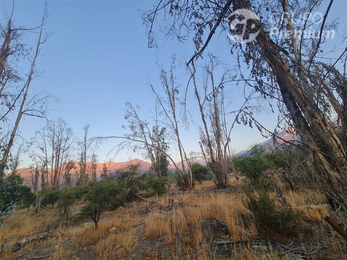 Parcela en Venta en Pirque, Ruta G 413 con Ruta G 411