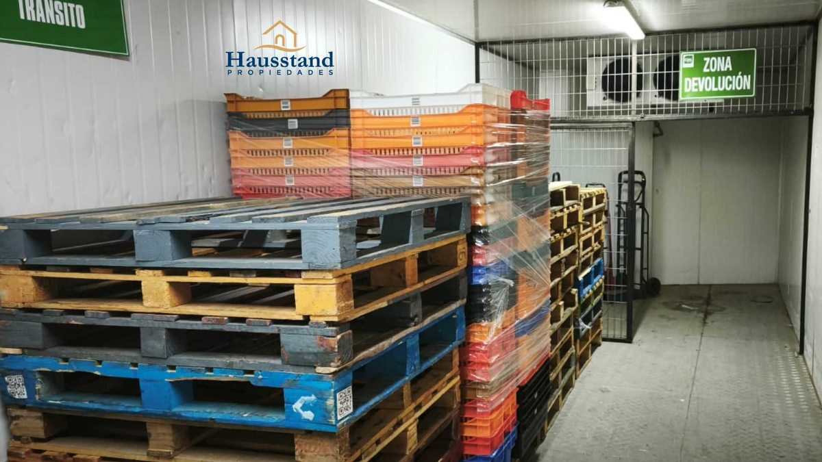 Foto 6