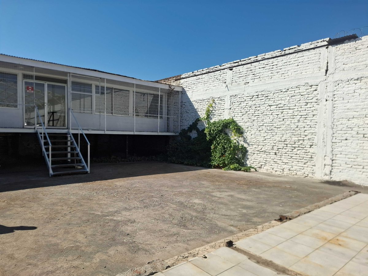 Foto 5