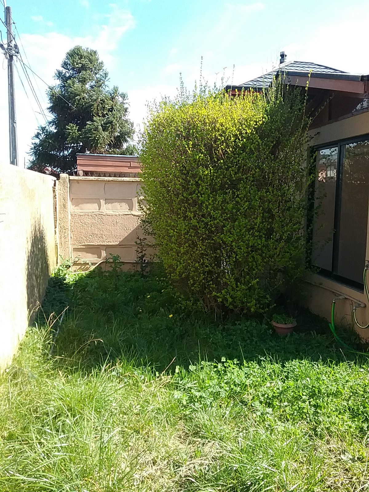 Foto 23