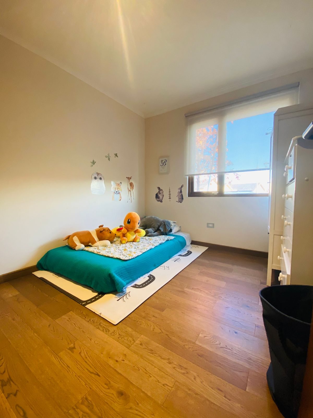 Foto 11