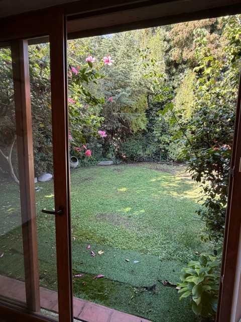 Foto 19