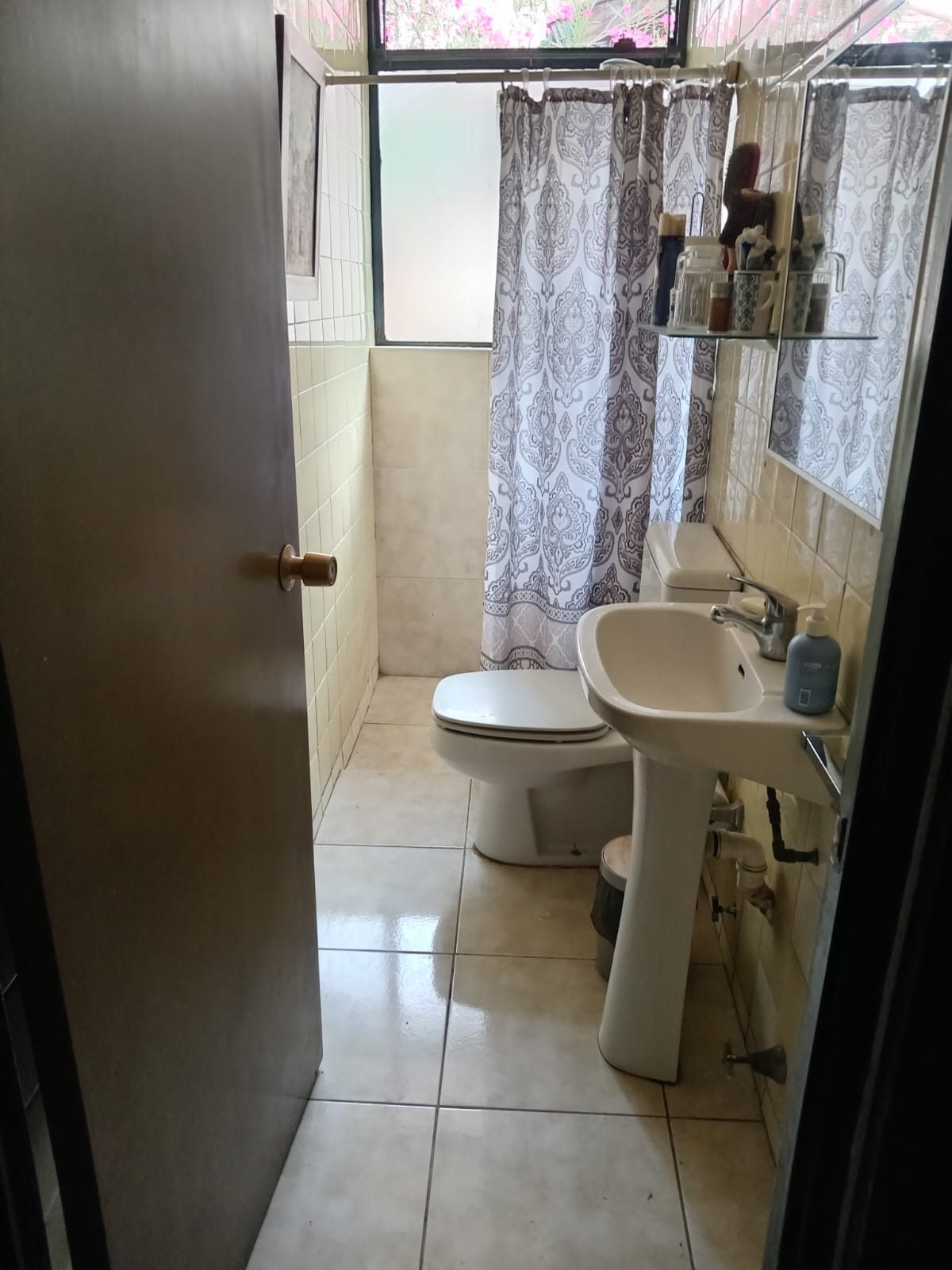 Foto 12