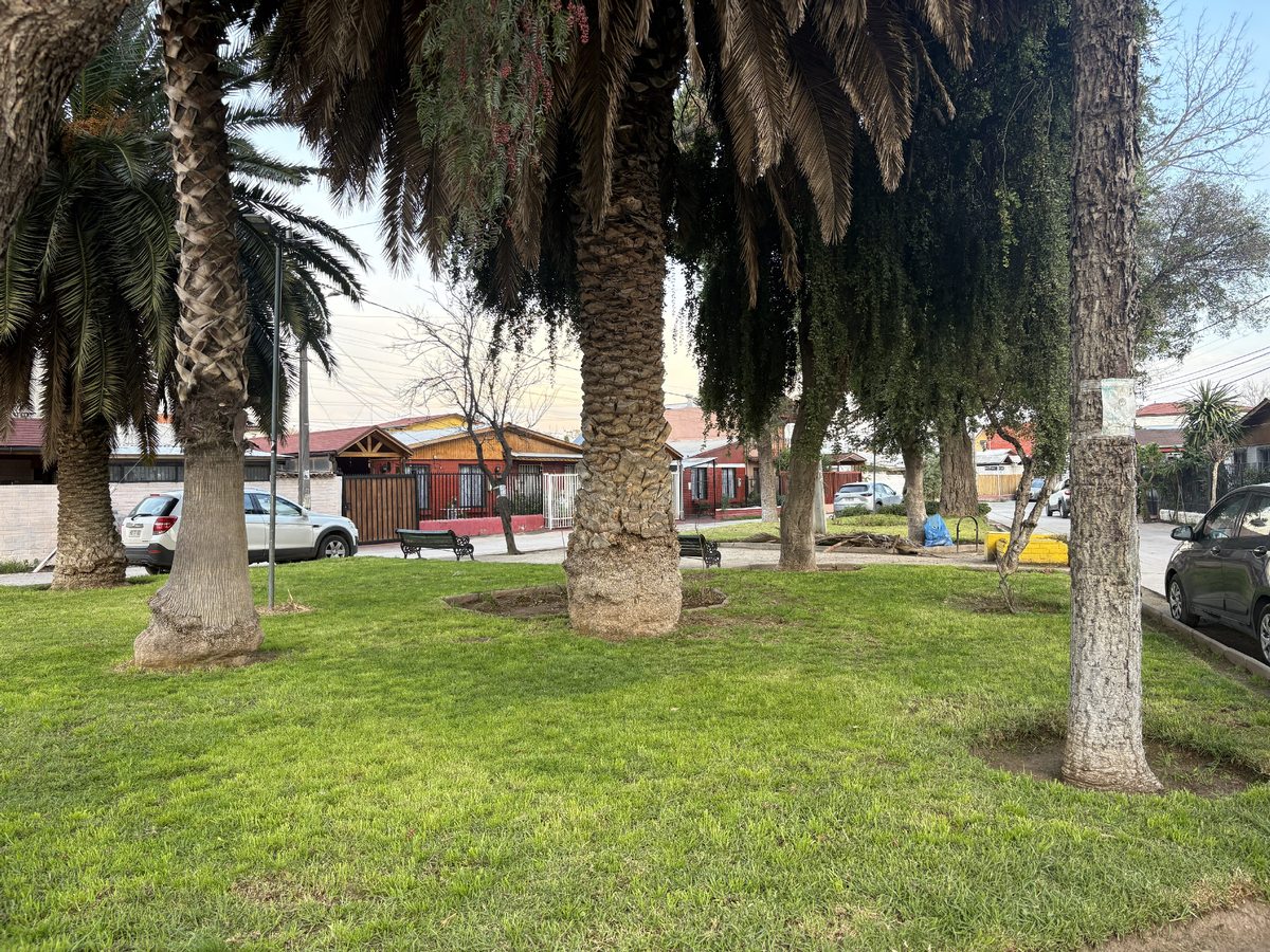 Foto 15