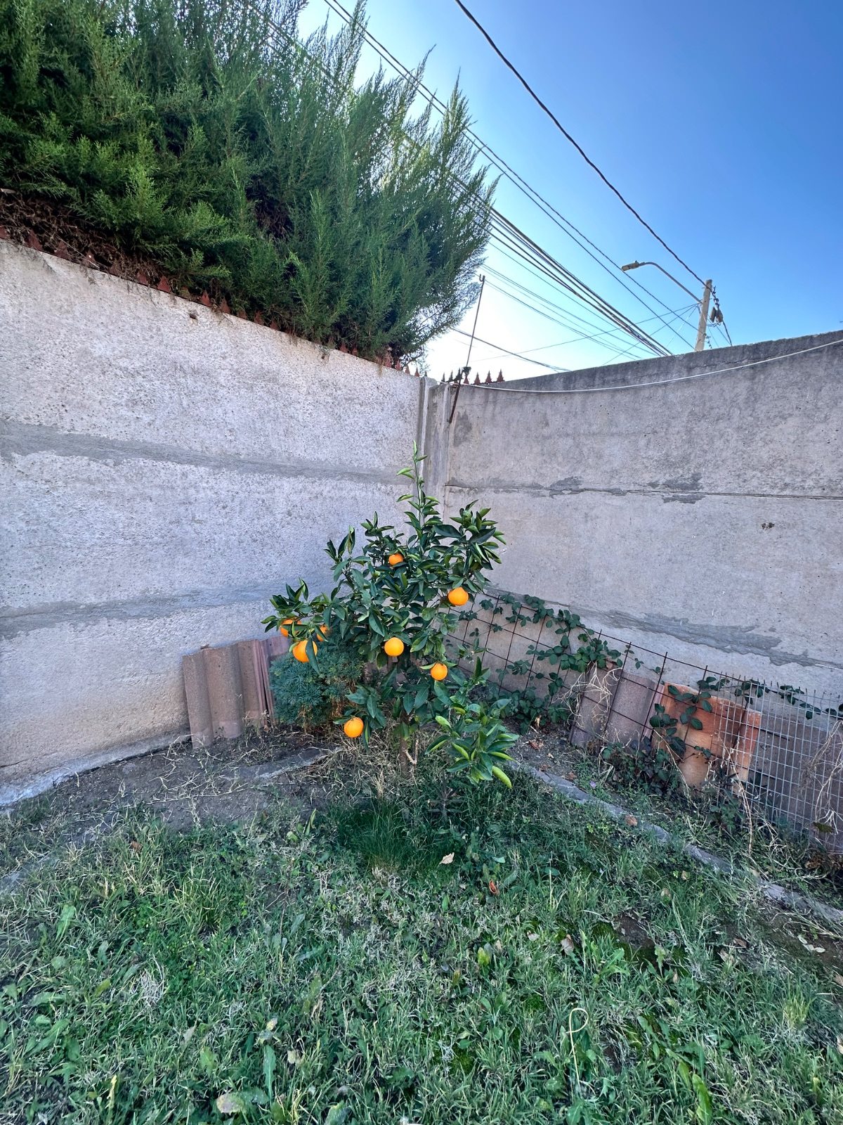 Foto 21