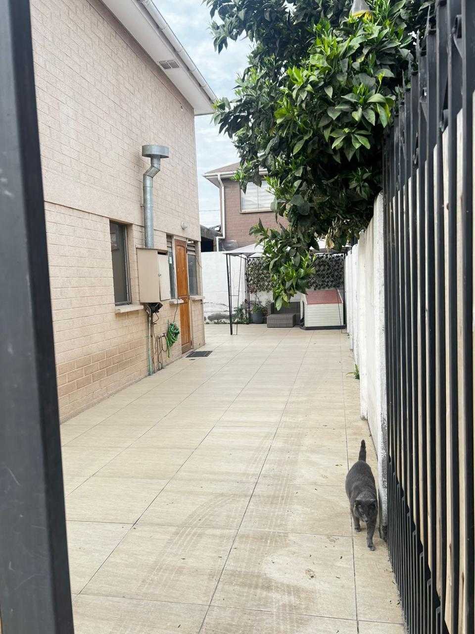 Foto 16