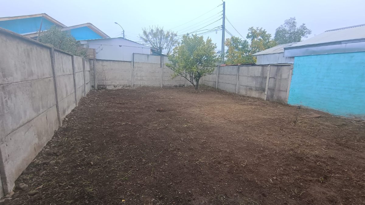 Foto 16