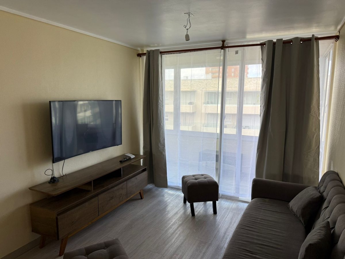 Living amoblado con mueble de TV