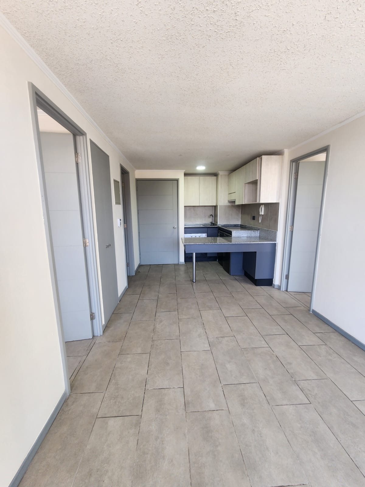 Arriendo Depart de 2 Dorm y 2 Bañ Briones Luco 0212 la Cisterna (Departamento)