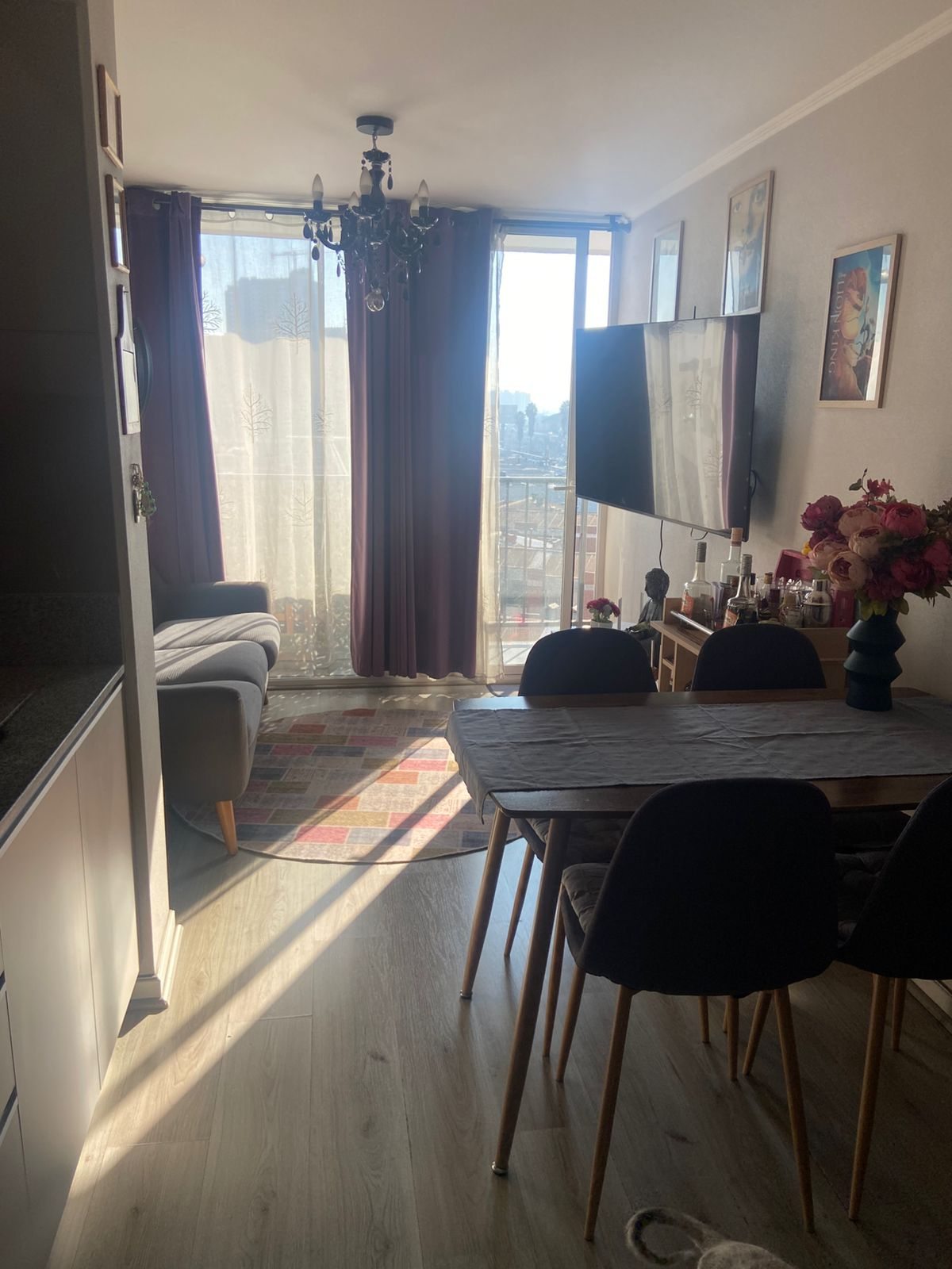 Foto 12