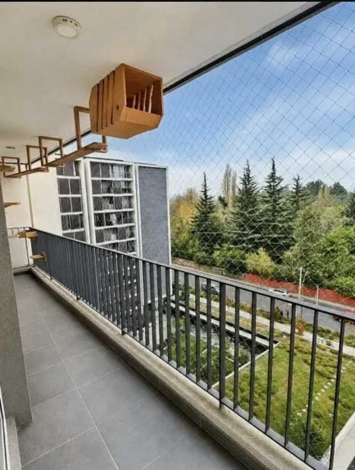 Foto 20