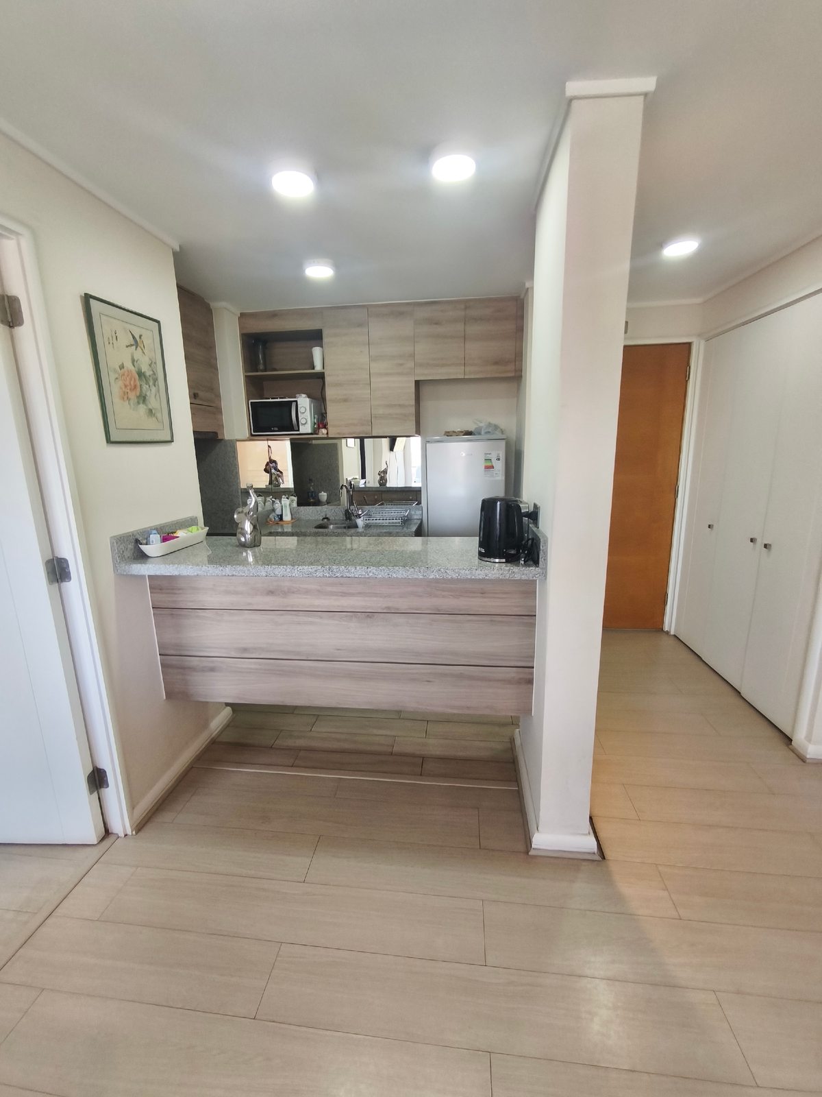 Vista cocina americana