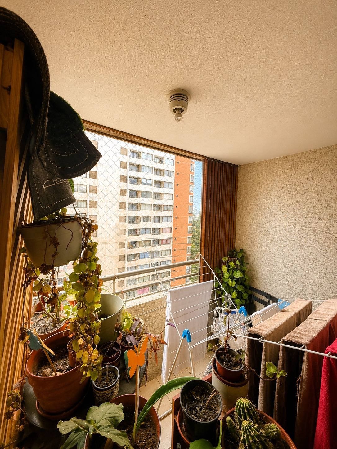 Foto 12