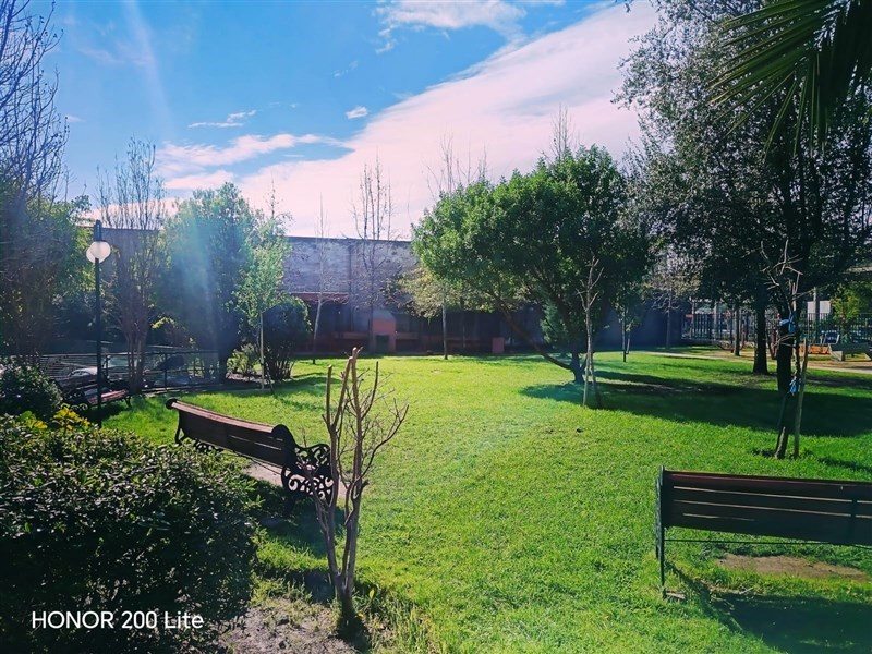 Foto 19