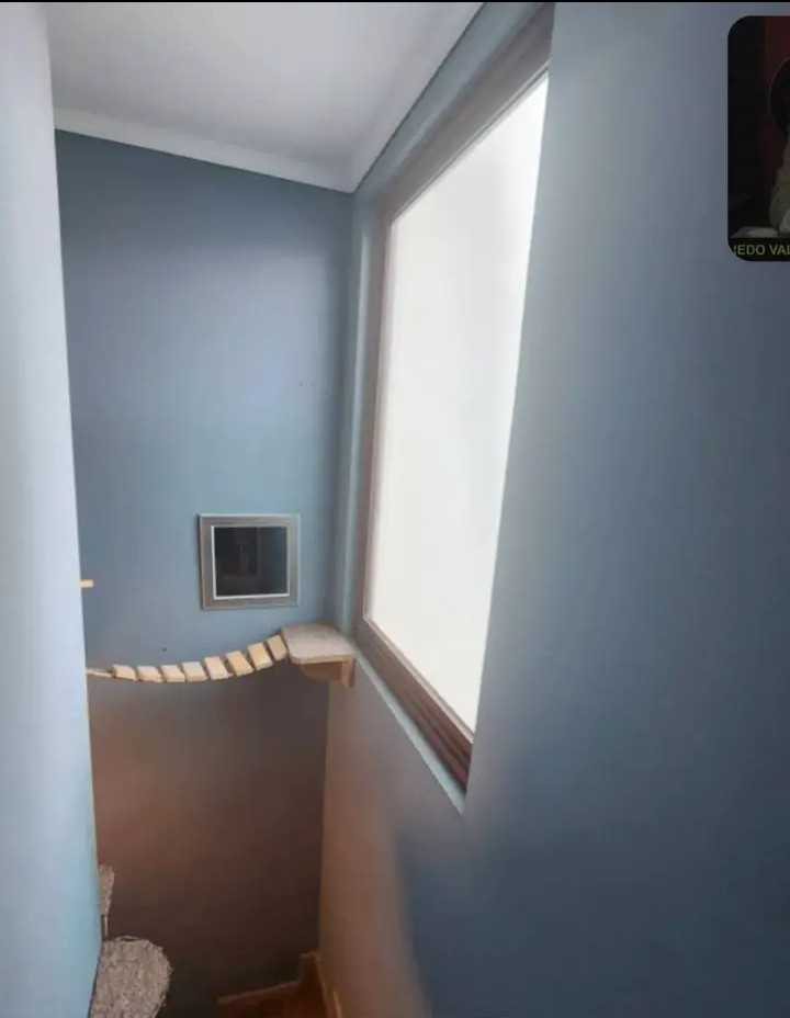 Foto 20