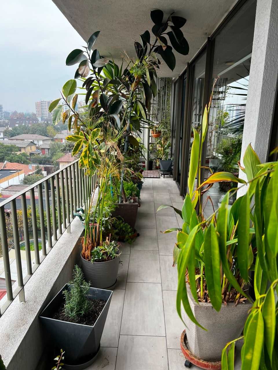 Foto 5