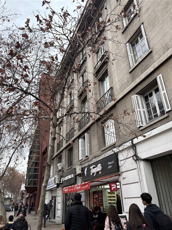 Departamento en Arriendo en Providencia, Esquina Suecia