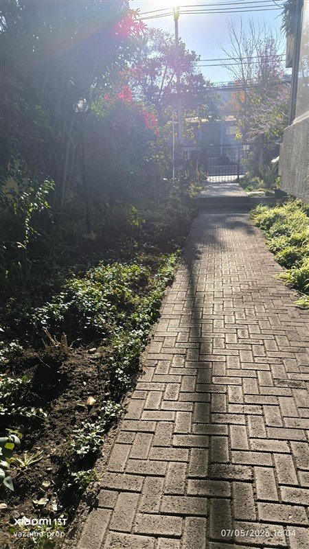 Foto 19
