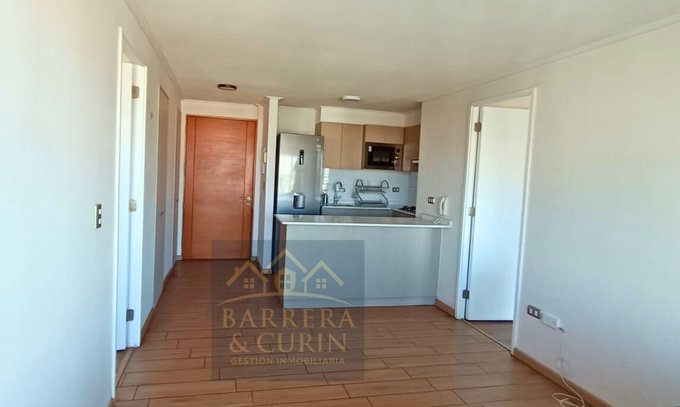 Cocina y living
