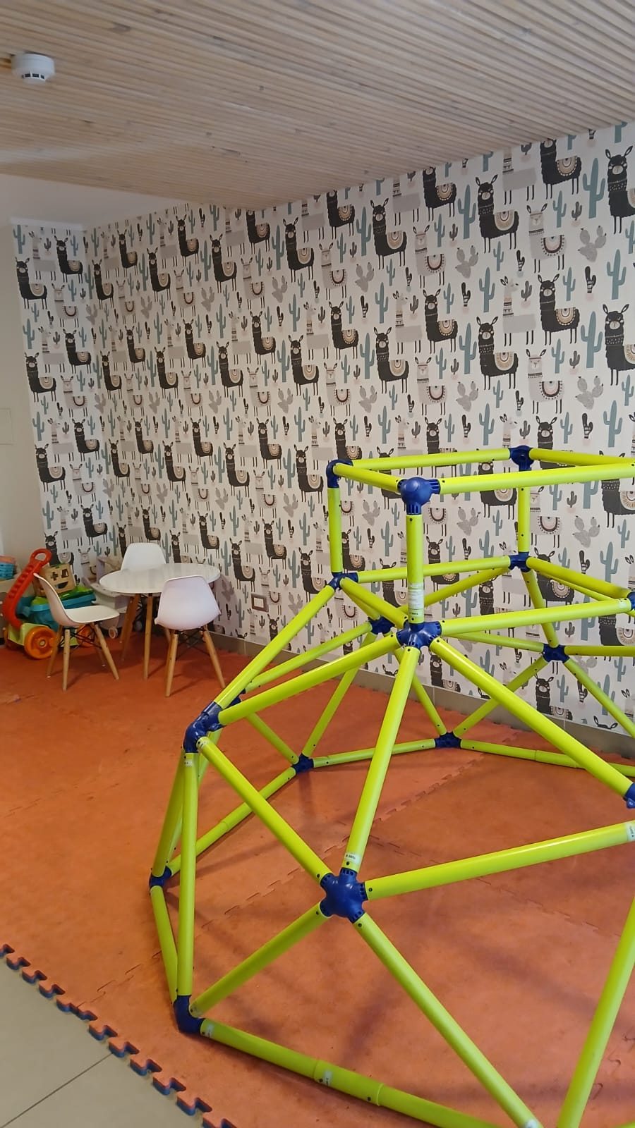 Foto 24