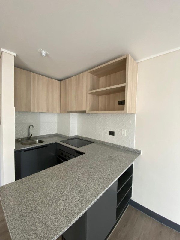 Departamento en Arriendo en Santiago, Calle zenteno 840 copiapo/coquimbo cerca metro parque alma