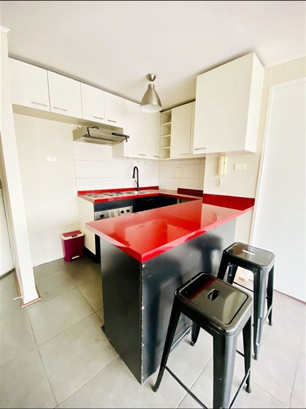 Departamento en Arriendo en Santiago, Arriendo depto en santiago centro!! a cuadras de parque almagro, metro parque almagro