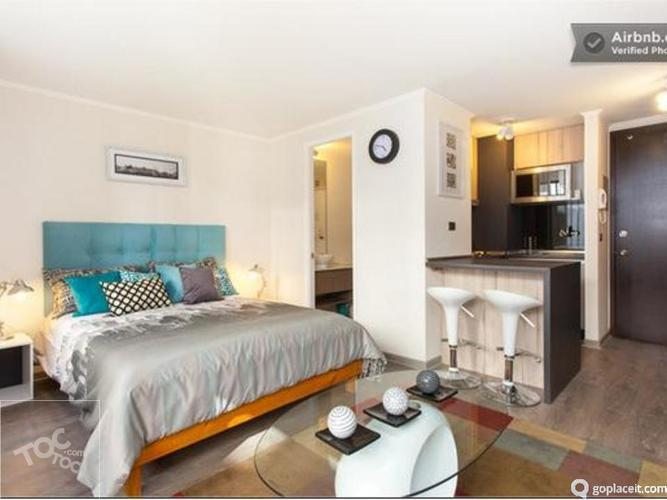 Depto Studio, Amoblado, Metro Toesca. (Departamento)