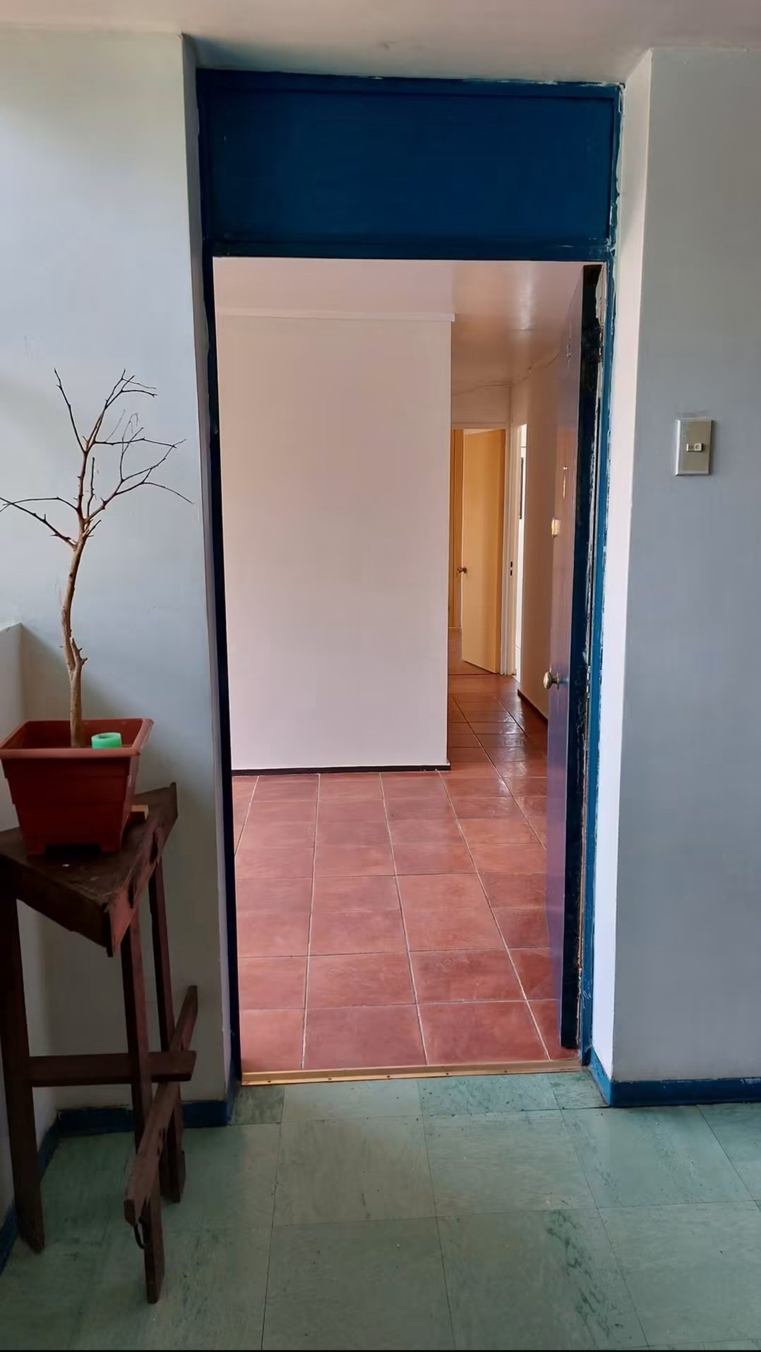 Hermoso E Iluminado Depto, Excelente Ubicación (Departamento)