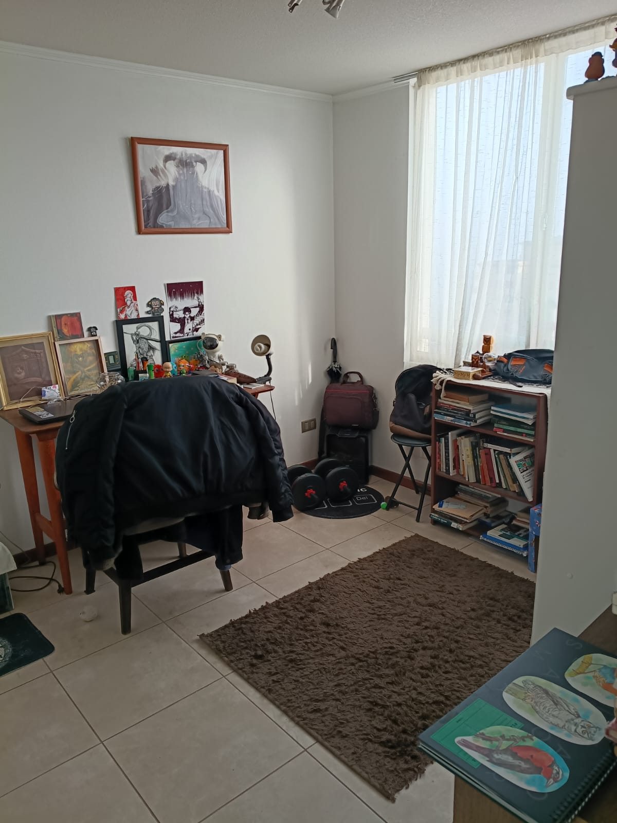 Foto 12