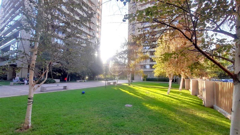 Foto 19