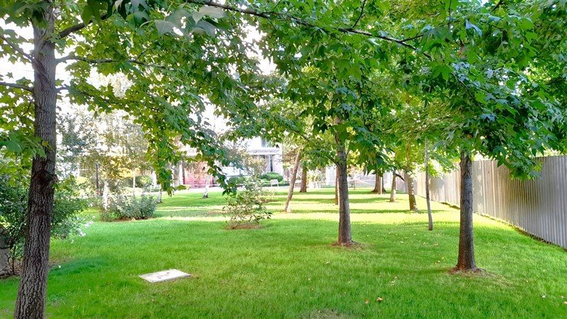 Foto 17